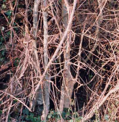 Image hébergée par Casimages.com : puits guy grollier