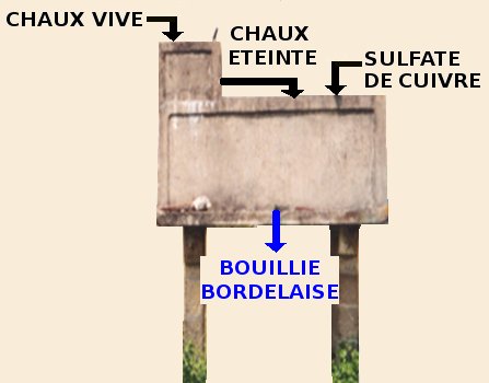 bouillie bordelaise